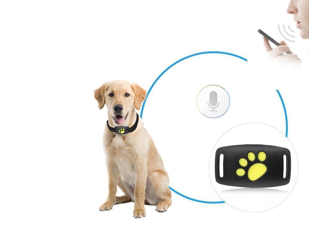 Localizzatore GPS compatto per gatti con rilevamento della posizione in tempo reale | MiniPaw TIAMUSE Gadgets