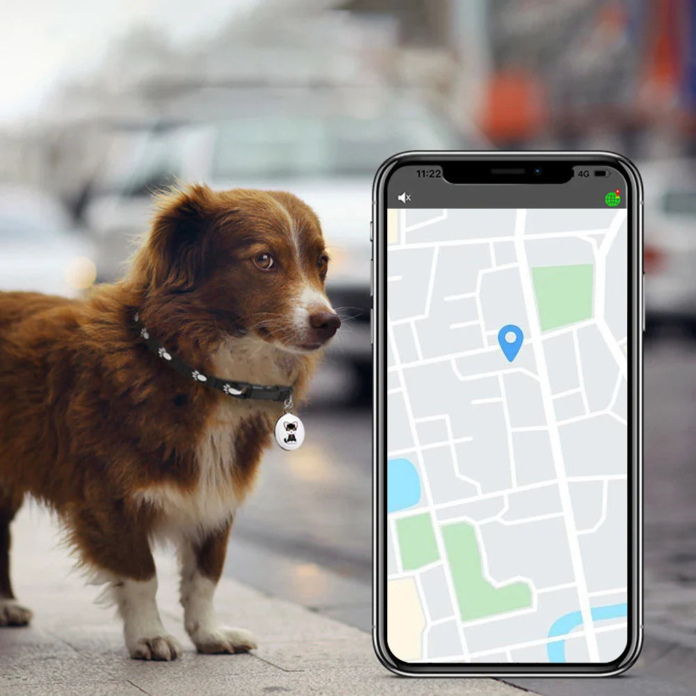 Mini localizzatore GPS impermeabile per cani e gatti | Findigo TIAMUSE Gadgets